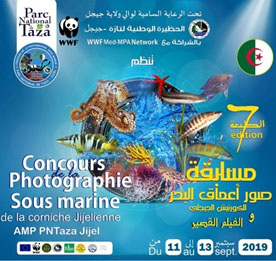 Participation à la compétition internationale Taza Jijel - Algérie